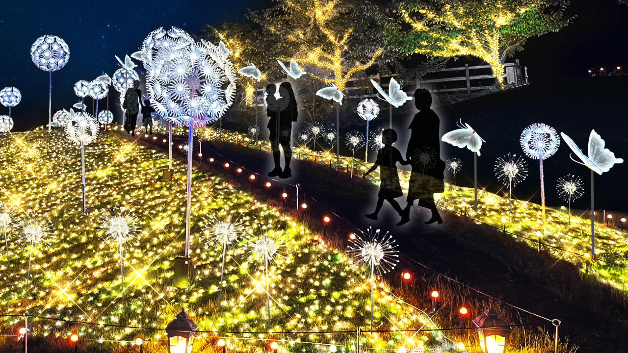 タンポポの丘+蝶_20250407