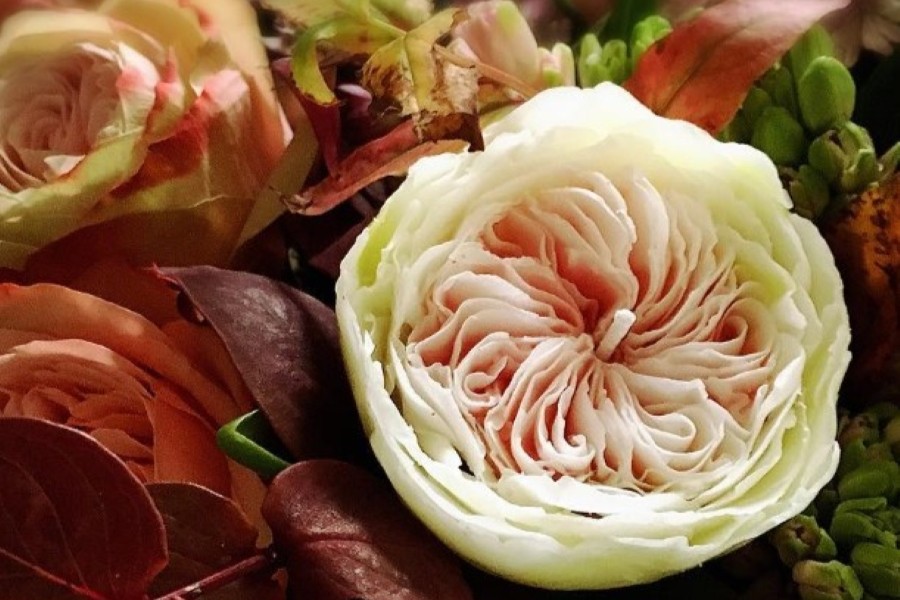 参考ローズキャンドル3