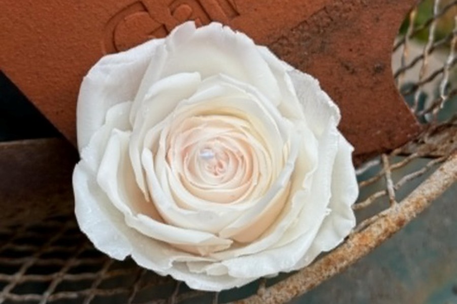 PR用_教室イメージ