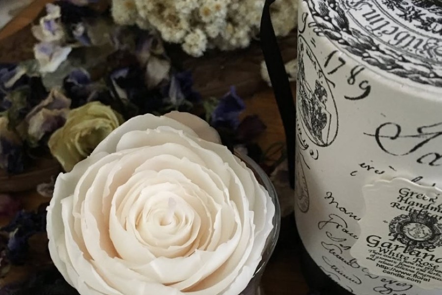 スクリーンショット 2025-08-24 143047